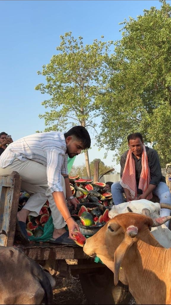 तरबूज वितरण सेवा